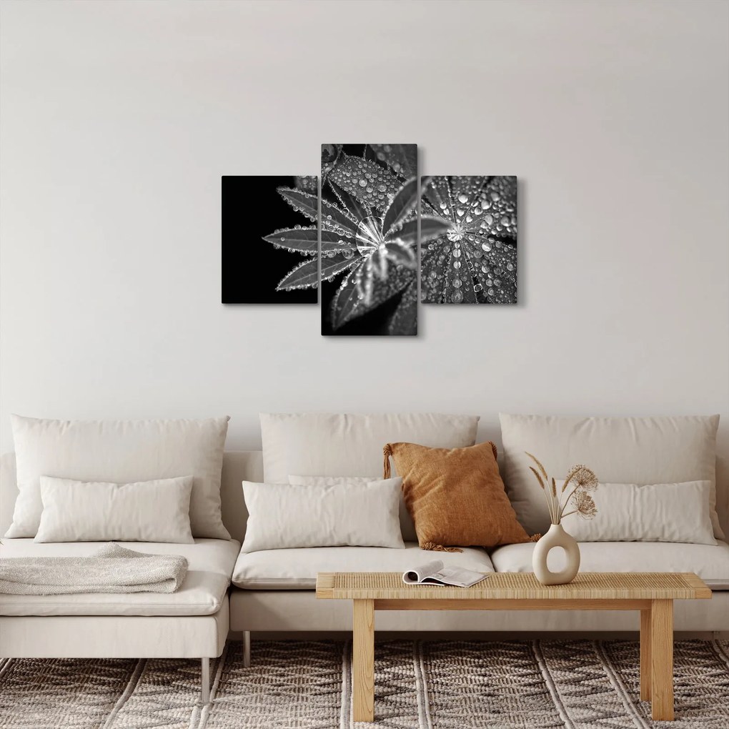 Kép - Cseppek (90x60 cm)