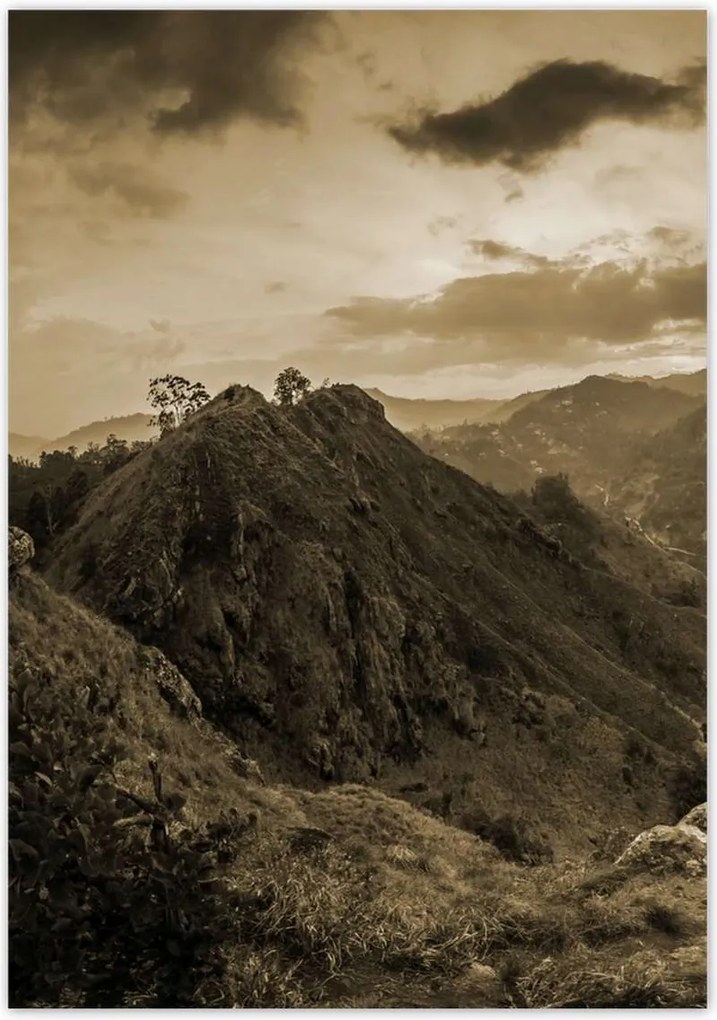 Poszterek 70x100 Barna tájkép Tájkép