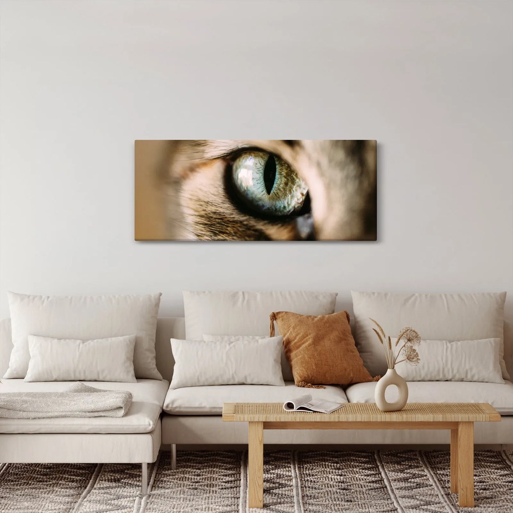 Kép - Macskaszem (120x50 cm)
