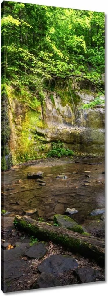 Vászonkép 40x100 Trópusi erdő vízesés