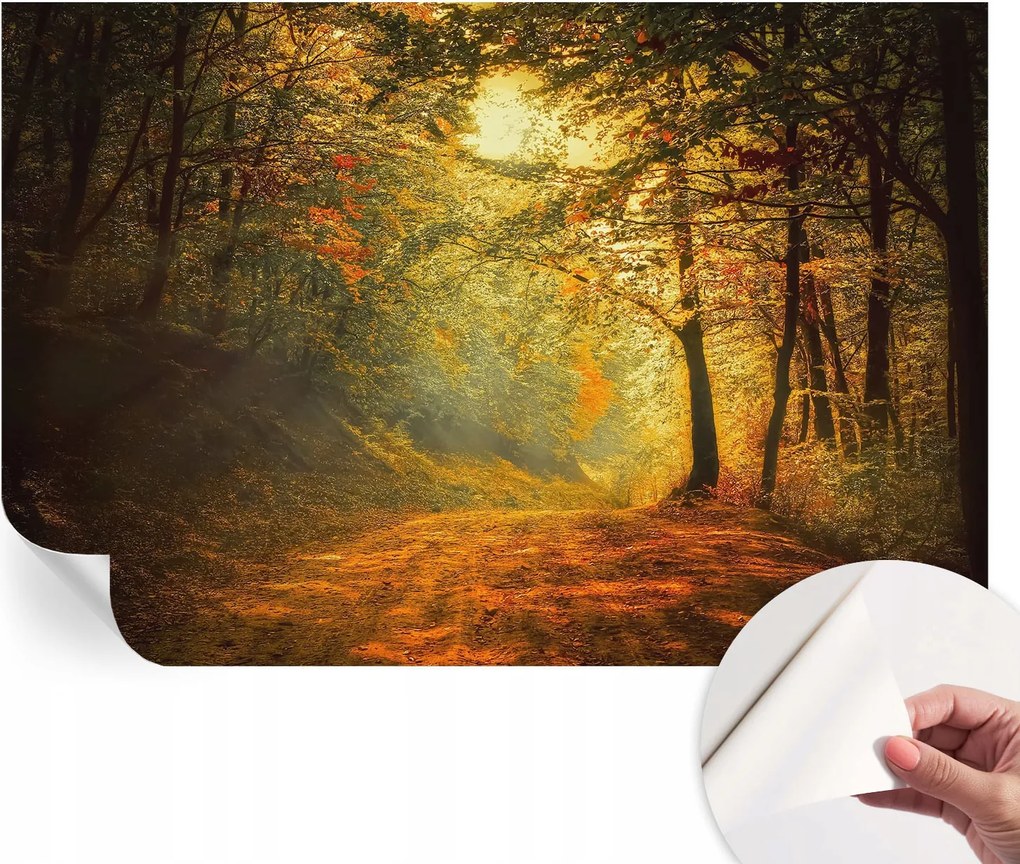 Modern öntapadós fali fotótapéta Őszi tájkép 104x70 cm