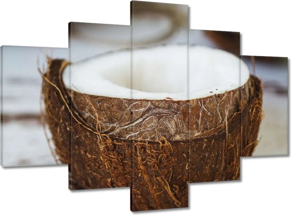 Vászonkép 150x105 Kókuszdió Bronz