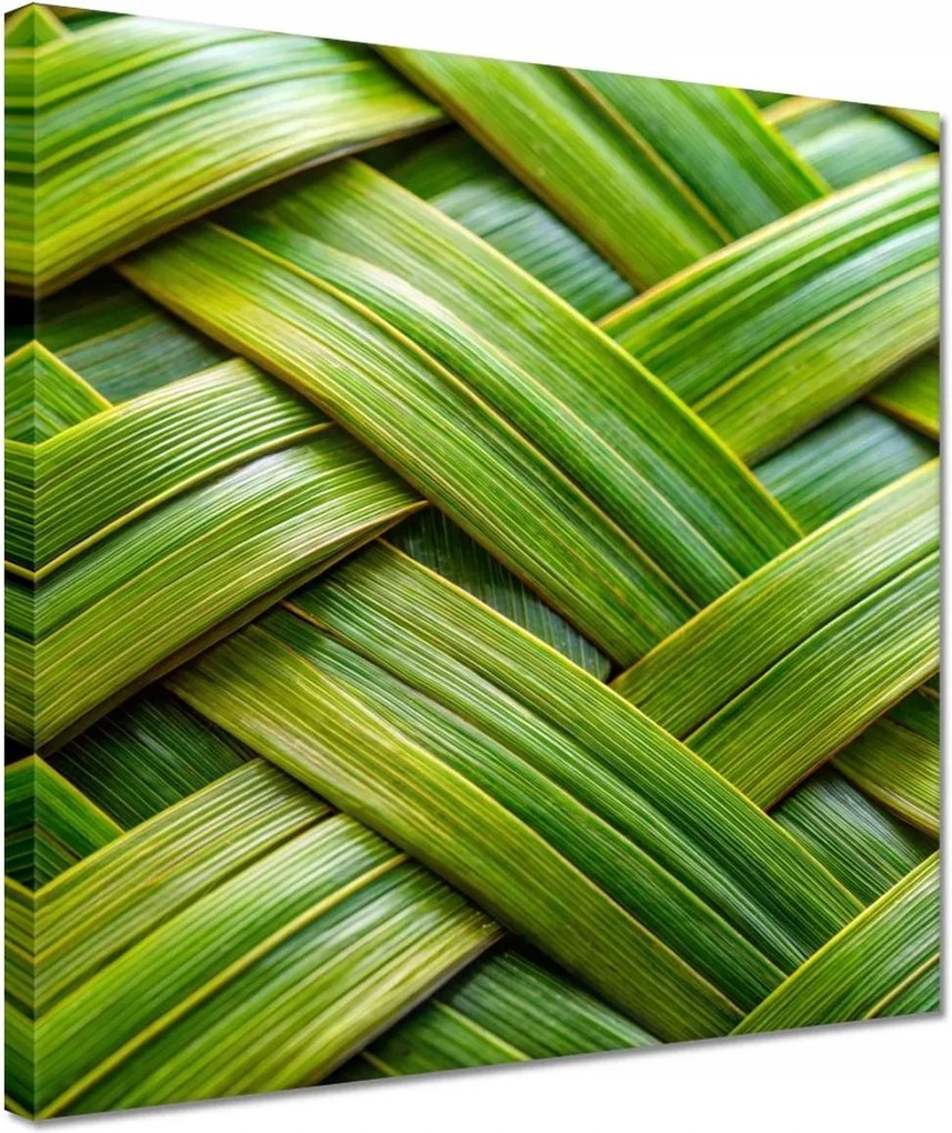 Vászonkép 30x30 Zöld fonott Zöld rattan fonott lemez