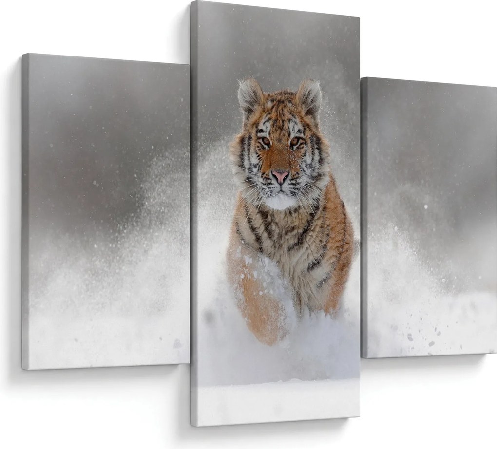 Futó tigris a hóban képe (90x60 cm)
