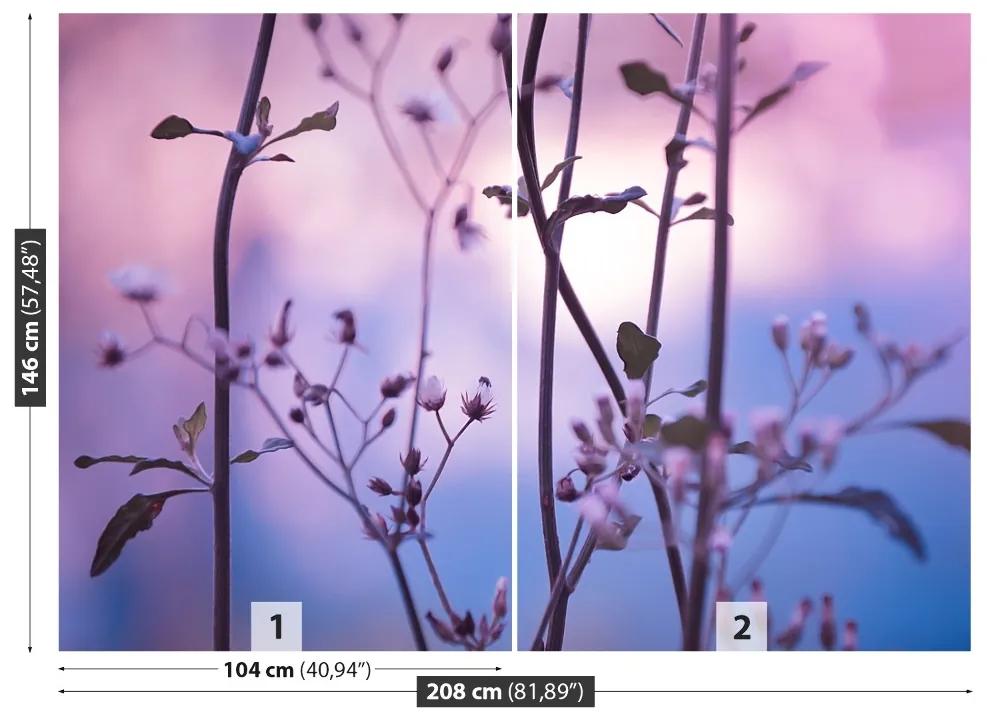 Fotótapéta lila rügyek 104x70 cm