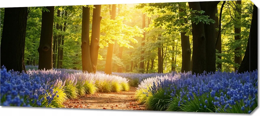 Vászonkép 90x40cm Hálószoba Nappaliba Panoráma Erdei ösvény