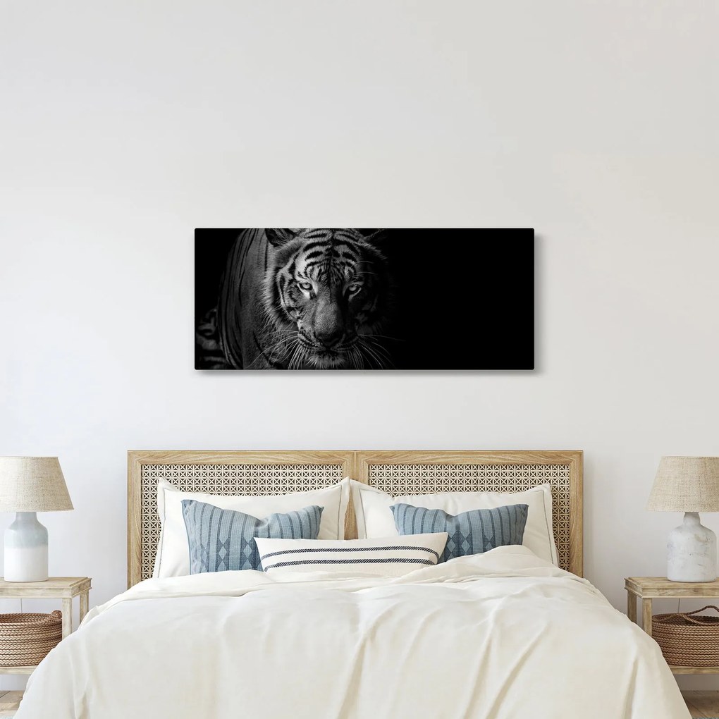 Egy vadtigris képe (120x50 cm)
