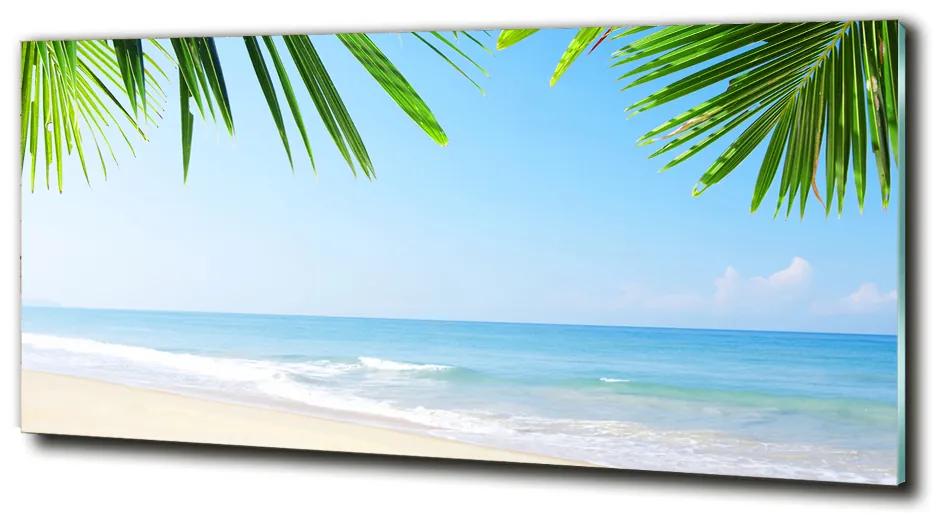 Fali üvegkép Trópusi tengerpart cz-obglass-125x50-5838209