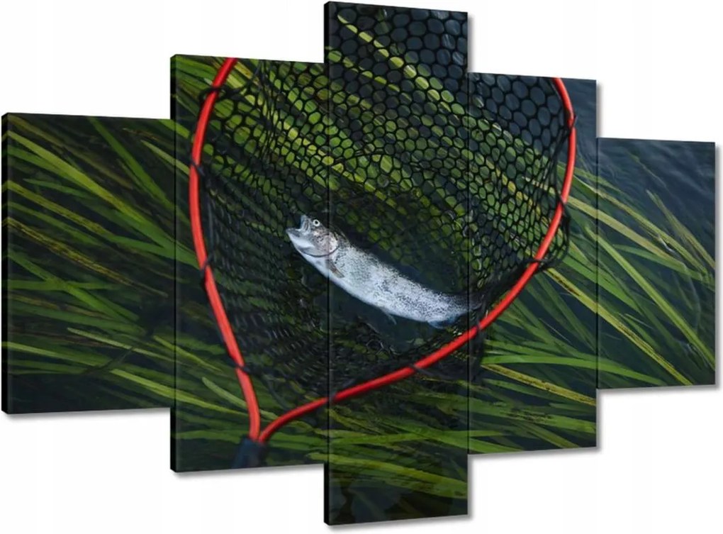 Képek 150x105 Halász és pisztrángháló