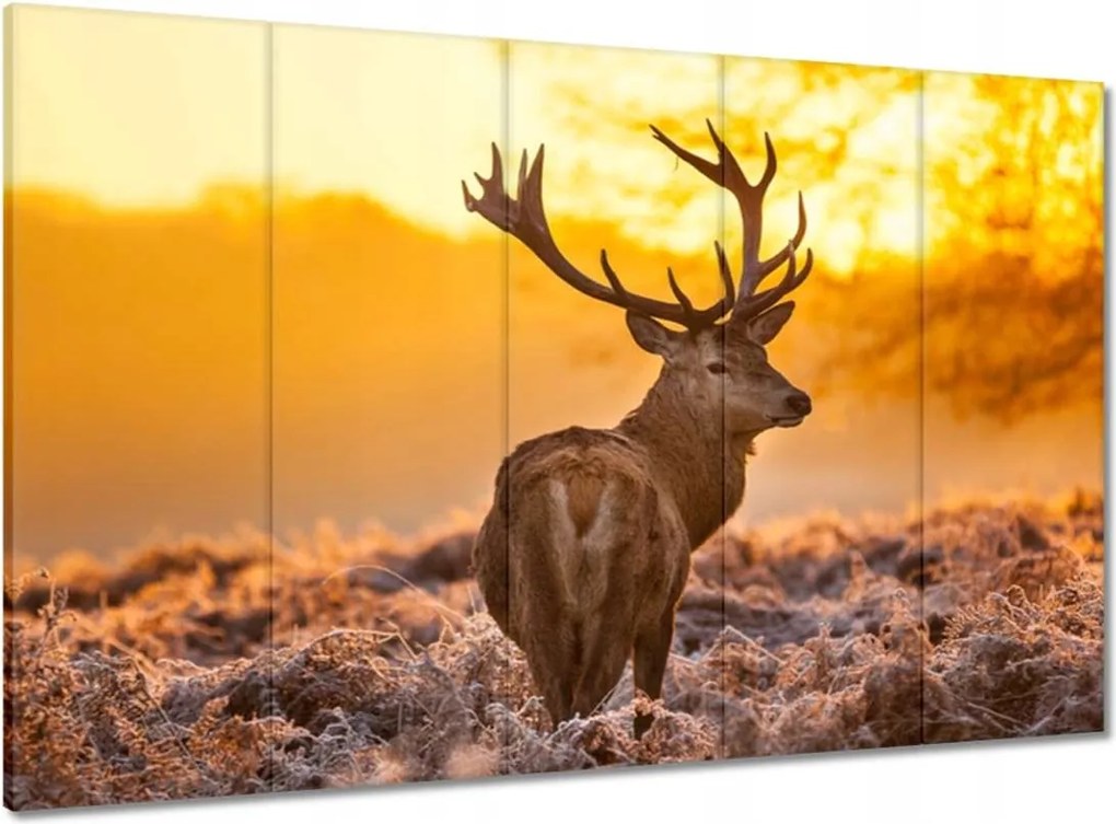 Vászonkép 100x70 Szarvas napfelkeltekor