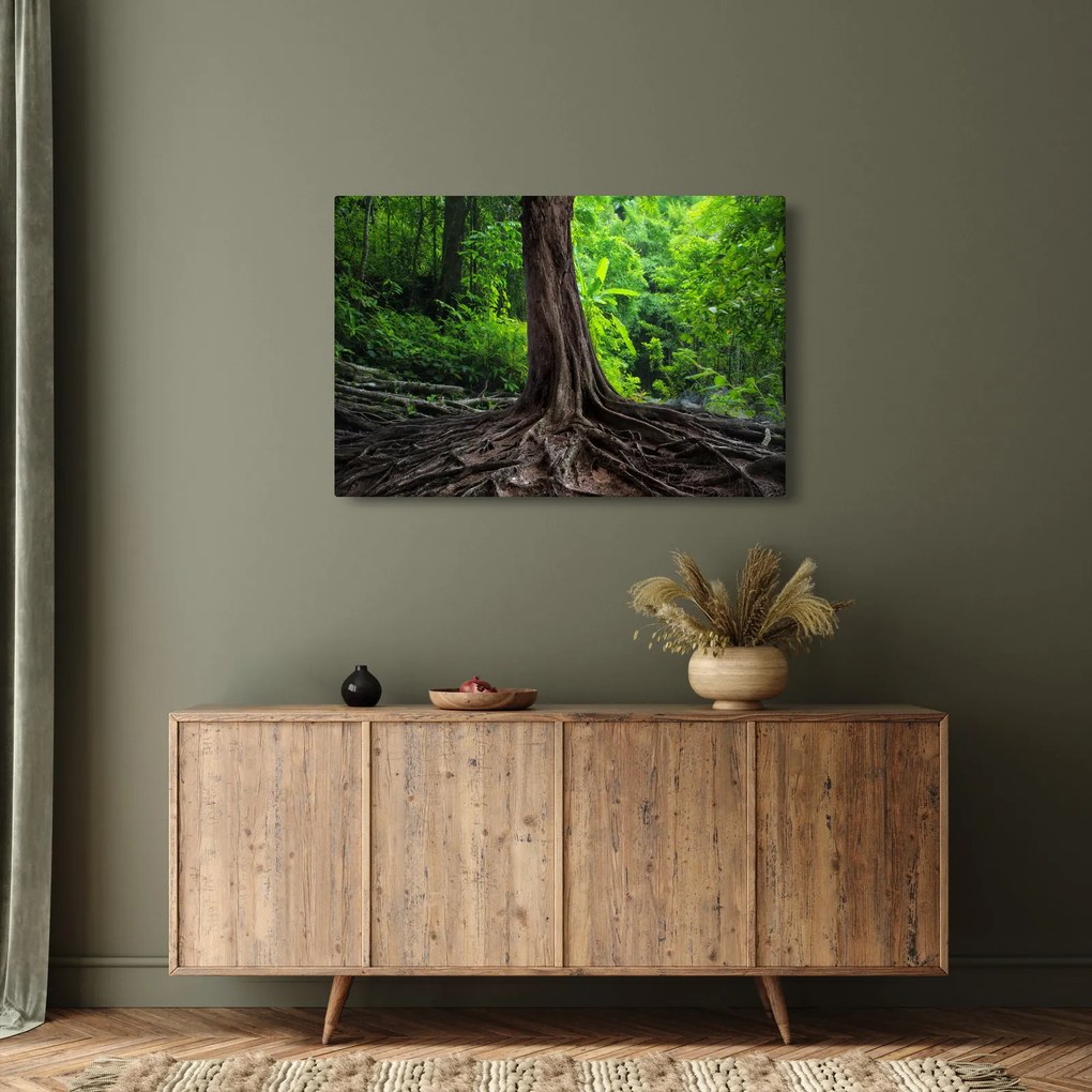Kép - Öreg fa gyökere (90x60 cm)