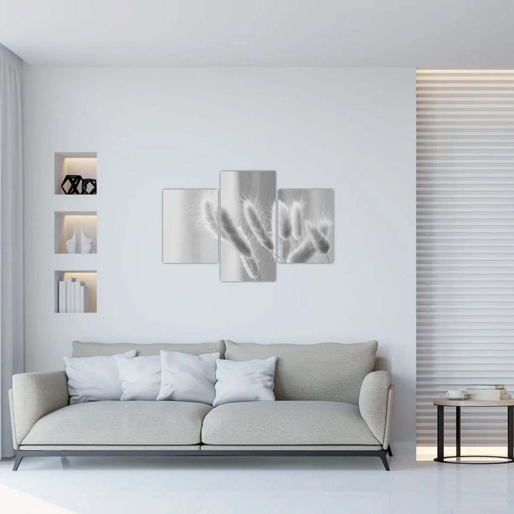 Kép - Nyuszi farok fű (90x60 cm)