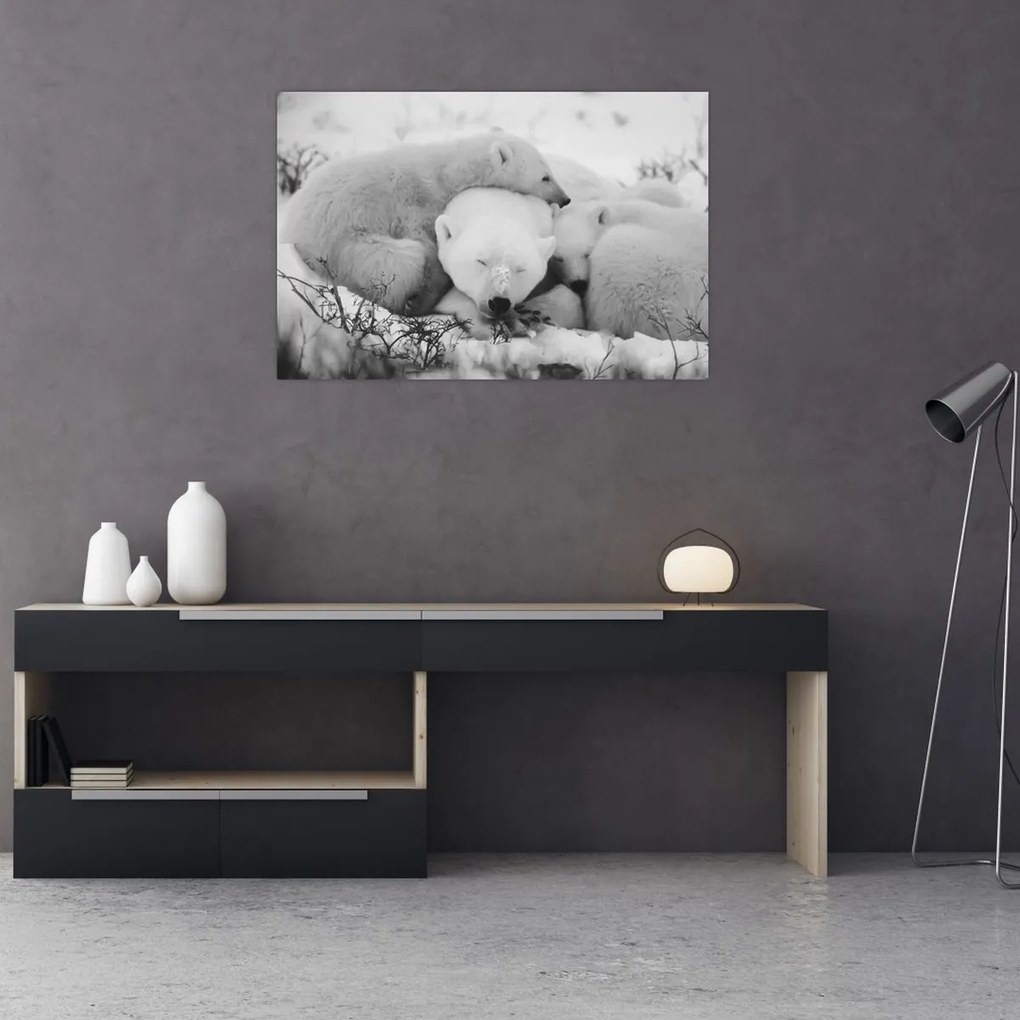 Kép - Jegesmedvék (90x60 cm)