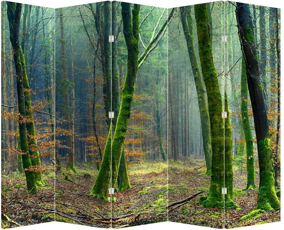 Paraván - Erdő (210x170 cm)