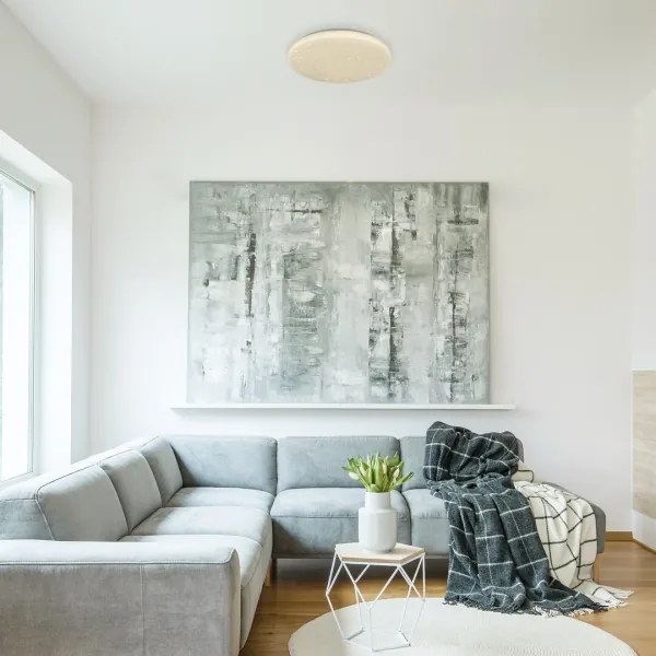 Rabalux 5436 - LED Mennyezeti lámpa ROB LED/32W/230V