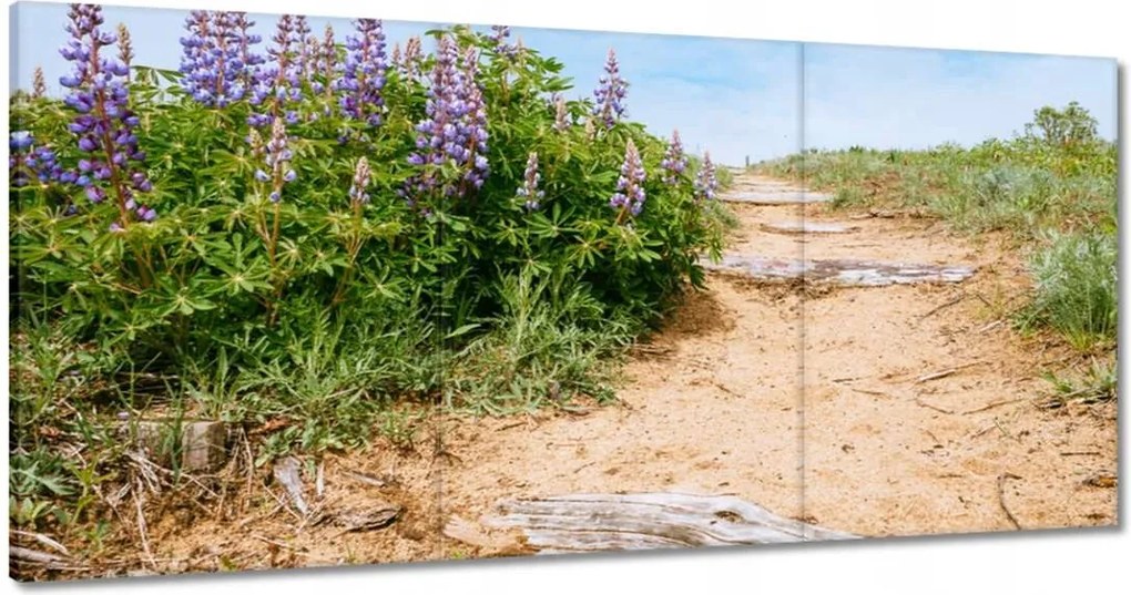 Vászonkép 180x90 Lépcsők Virágok Rét