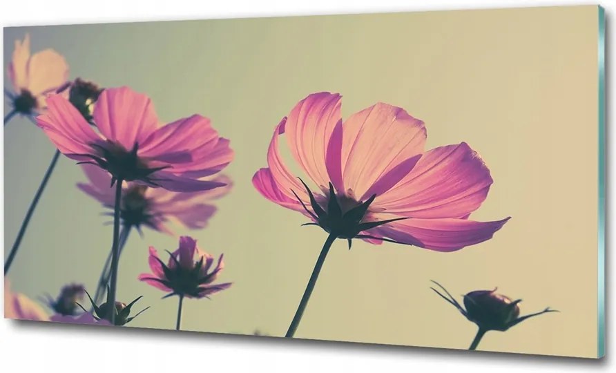 Fotó vászonkép edzett üveg Rózsaszín virágok 125x50