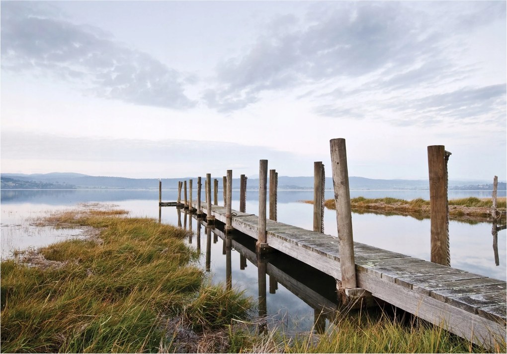 Fotótapéta Csend tó Fa mell Kilátás a tóra 368x280 +ragasztó