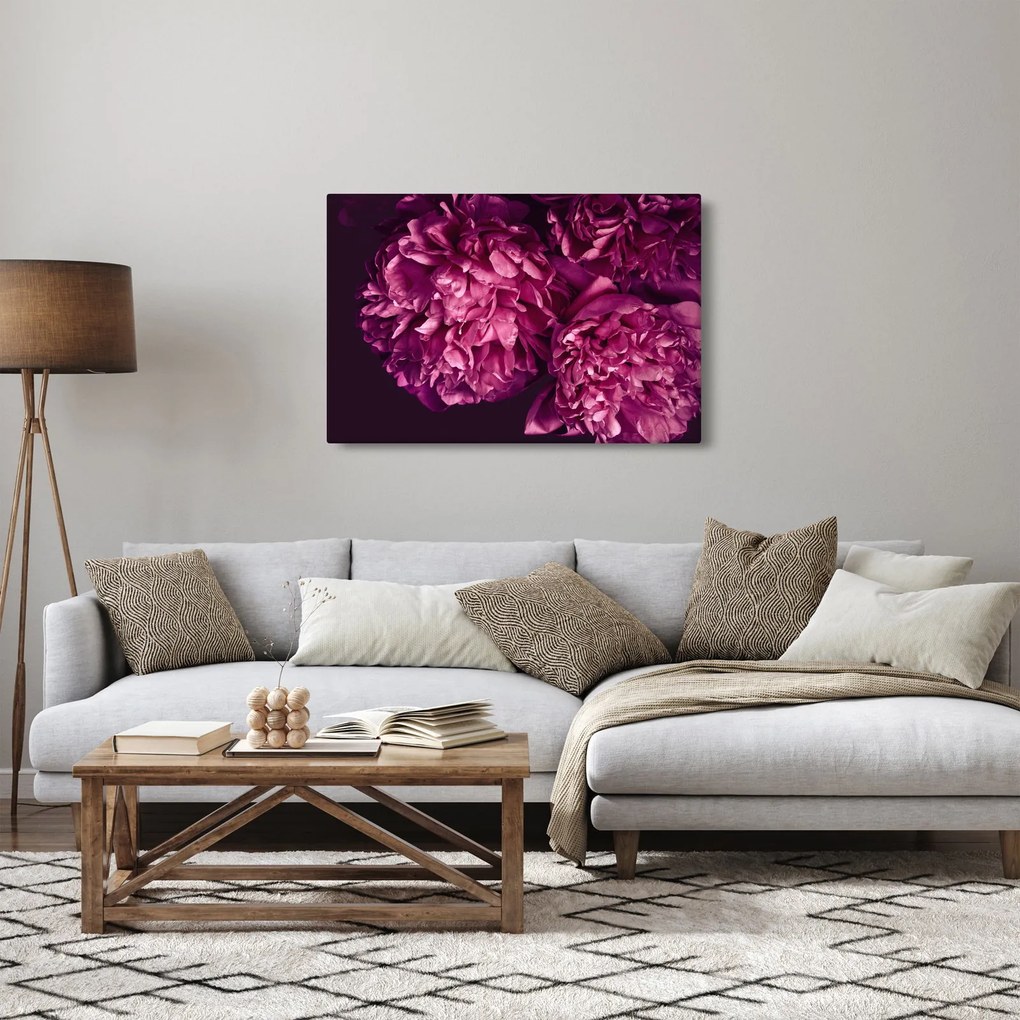 Kép - Csokor pünkösdi rózsa (90x60 cm)