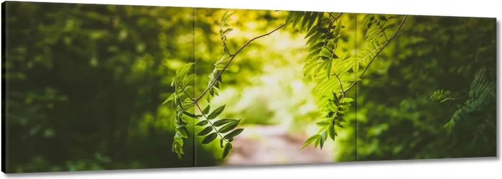 Vászonkép 90x30 Zöld levelek Levelek