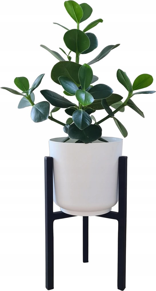 Virágtartó Állvány Fém Virágtartó Fedéllel 31 CM