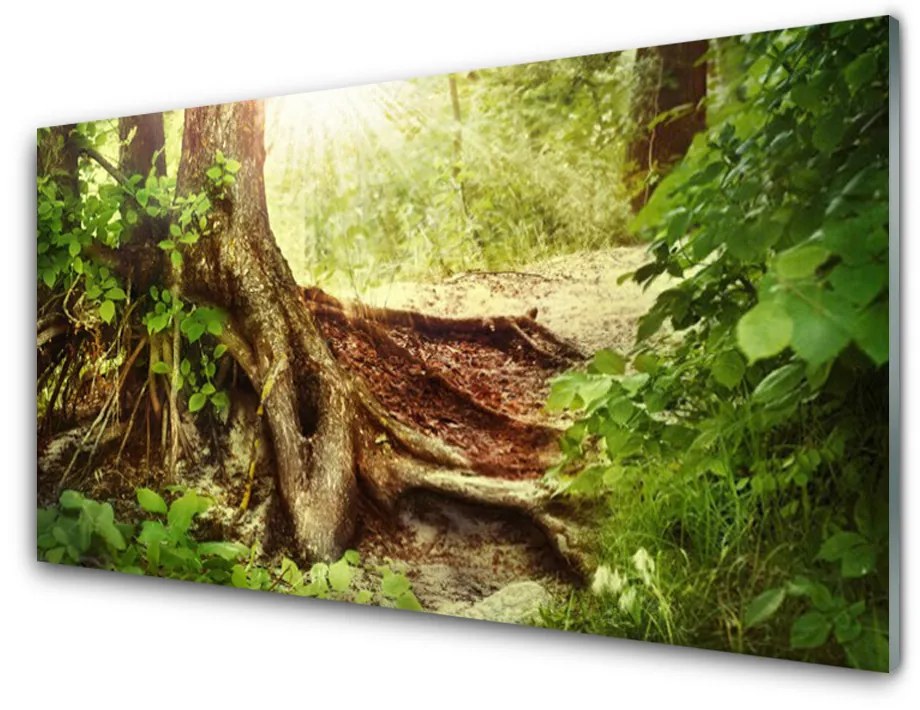 Akril üveg kép Fatörzs-erdő Természetvédelmi 120x60 cm 4 fogas