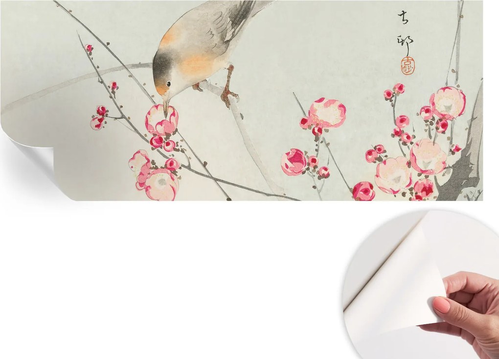 Dekoratív öntapadós fotótapéta Hálószobába Virágos madár 250x104 cm