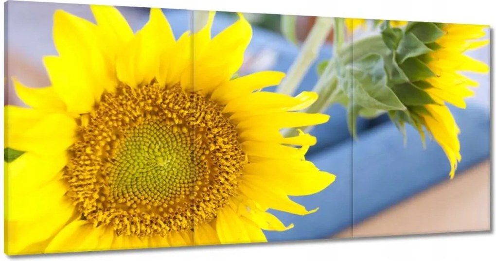 Képek 180x90 Nőnap Love