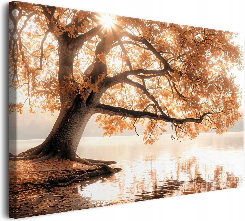Vászonkép falikép barna őszi fa 80x120cm
