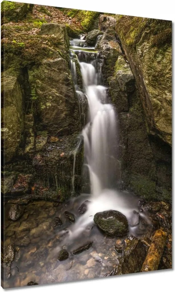 Vászonkép 70x100 Vízesés Erdei zuhatag