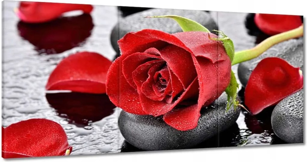 Vászonkép 180x90 Vörös rózsák Kövek
