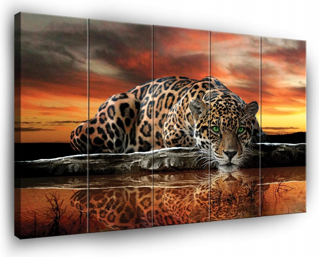 Tigris Szafari Vászonkép Falra 5 Részes Nappali Hálószoba 150x100