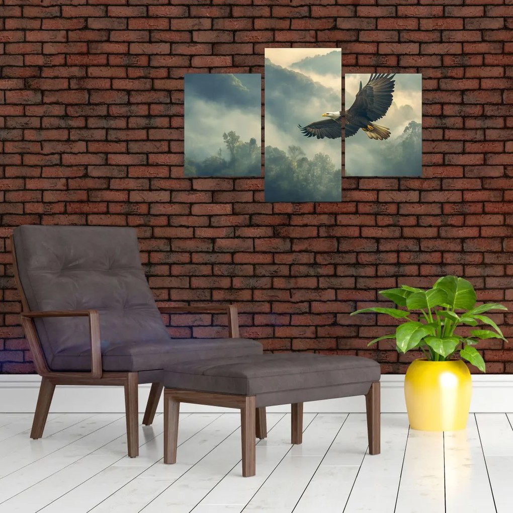 Kép - Repülő sas (90x60 cm)