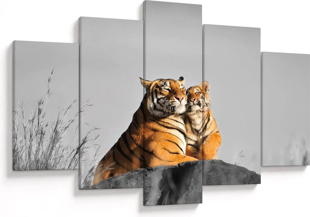 Kép - Tigris és a kölyke, fekete-fehér változat (150x105 cm)