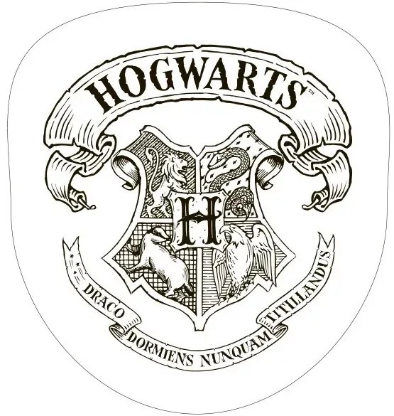 Harry Potter formapárna, díszpárna 34*36 cm