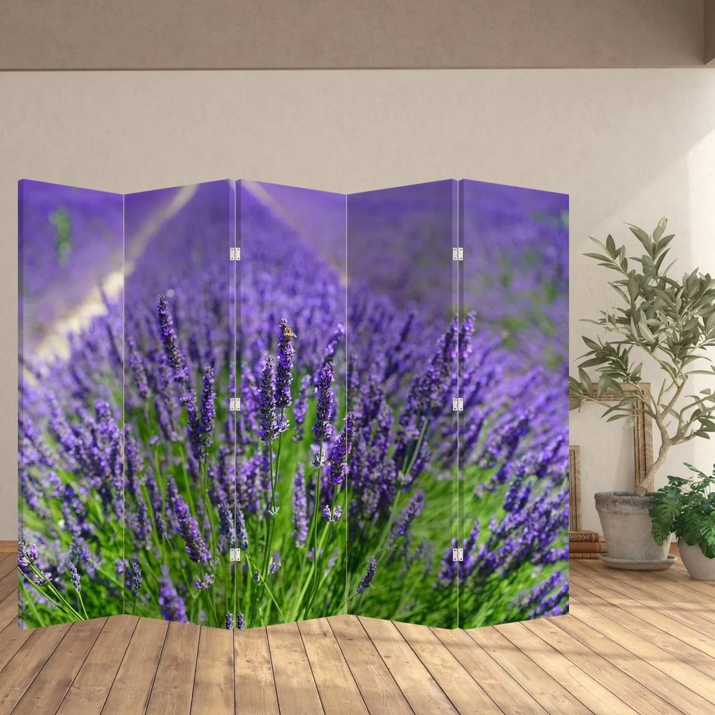 Paraván - Levandula (210x170 cm)