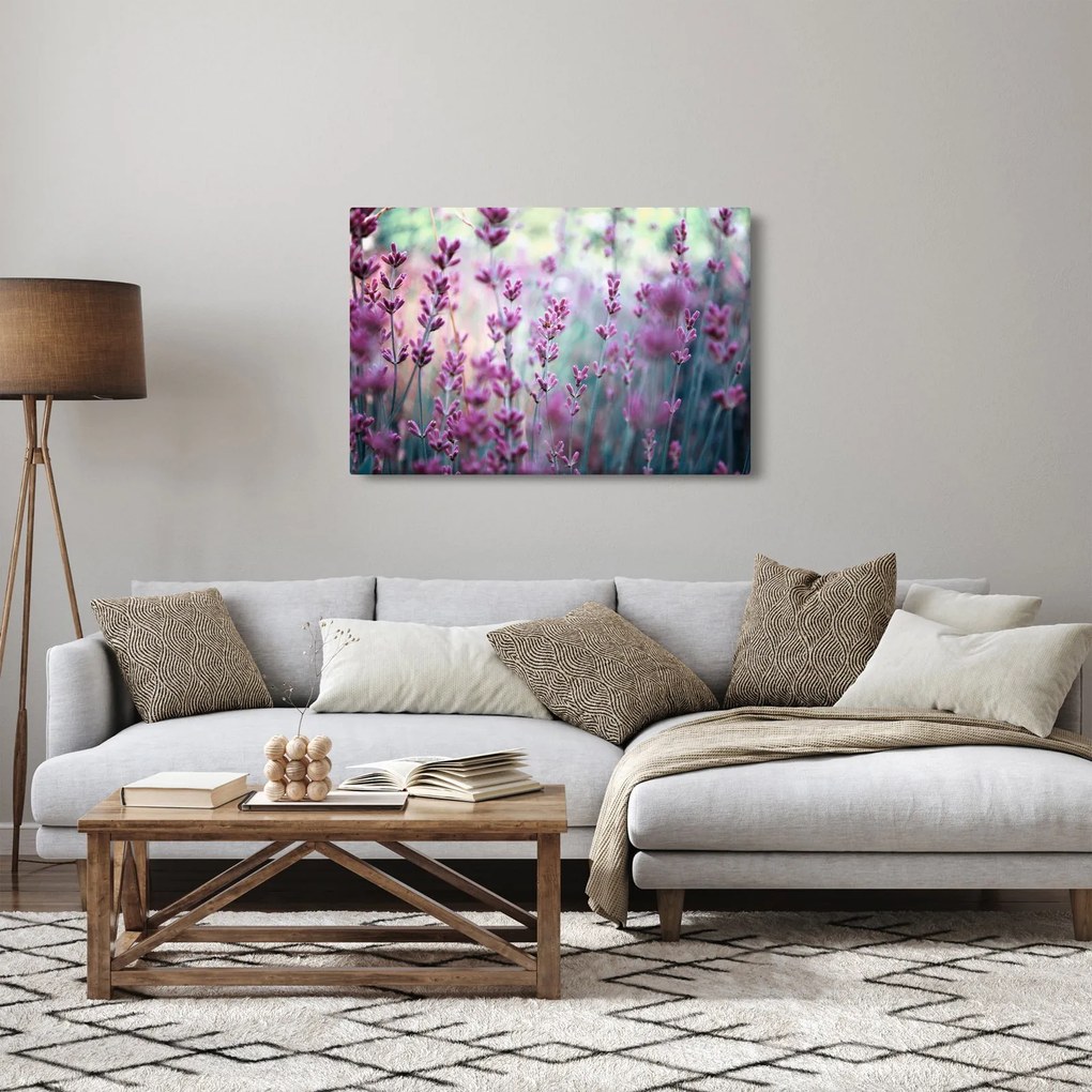 Kép - Levendula (90x60 cm)