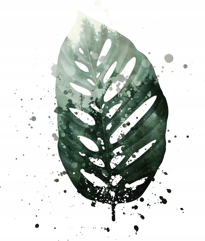 3D fotótapéta monster pálma levelek 206 x 275