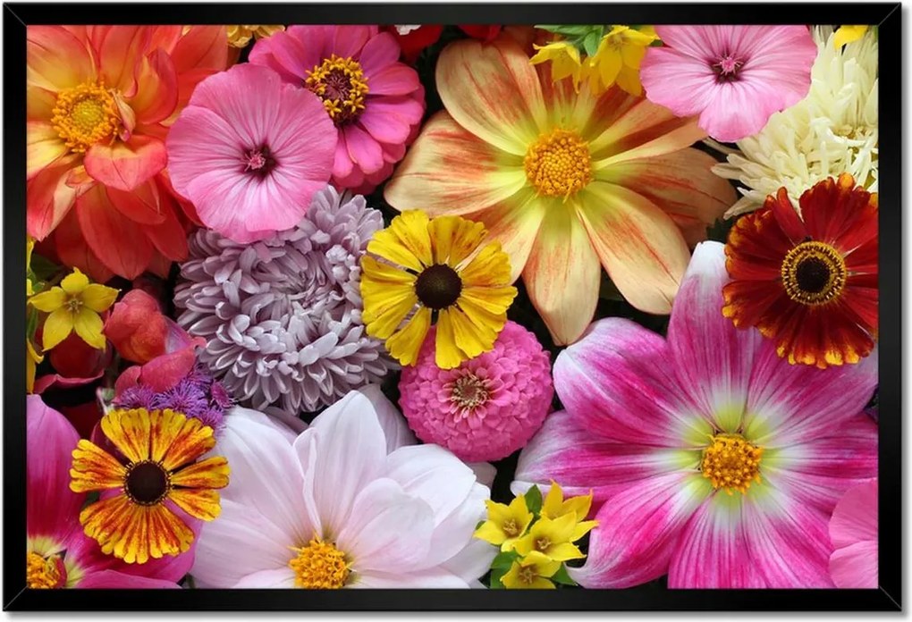 Poszterek keretben 60x40 Virág kompozíció Virág