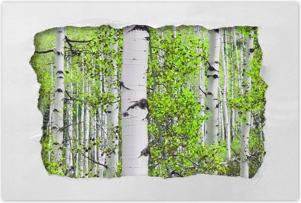 Poszter 60x40 Tavaszi zöld