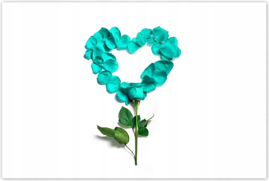 Poszterek 120x80 Türkiz rózsa