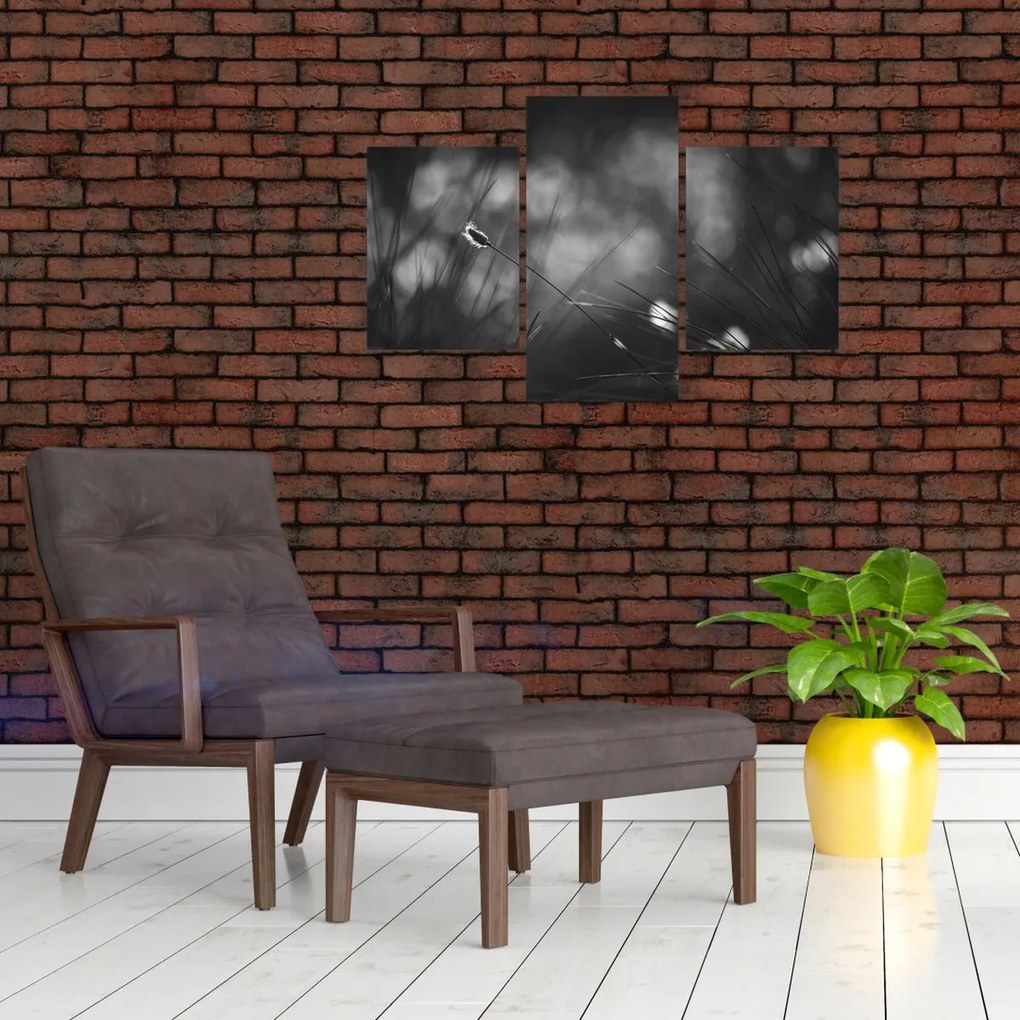 Kép - Mezei fű (90x60 cm)