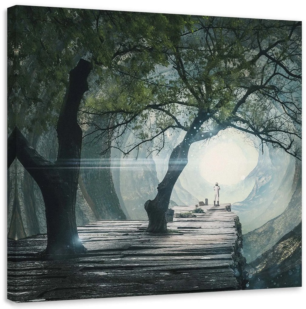 Gario Vászonkép Híd egy barlangban - Zehem Chong Méret: 60 x 60 cm