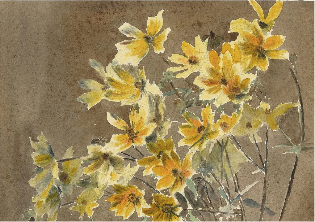 Dekoratív Fotótapéta Hálószobába Napsütötte csokor 312x219