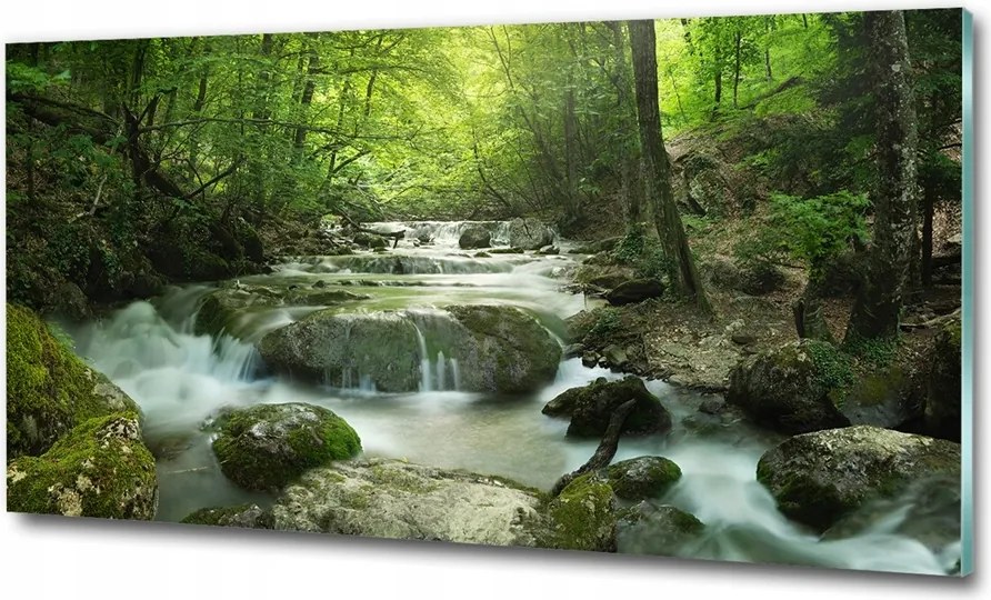 Fotó üvegkép Vízesés az erdőben 125x50