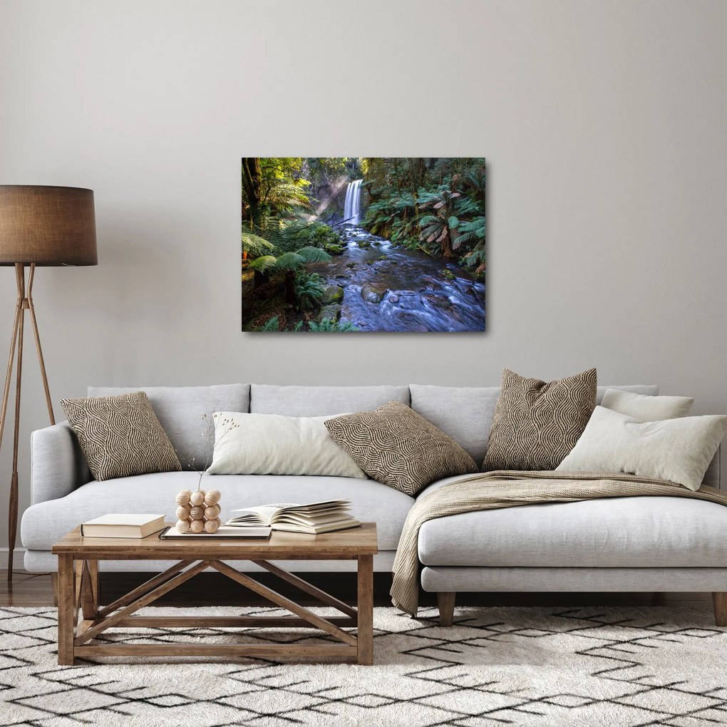 Ausztrál esőerdő képe (70x50 cm)