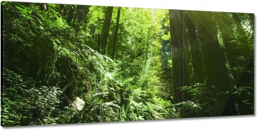 Festmények 210x100 Varázslatos erdő Tájkép