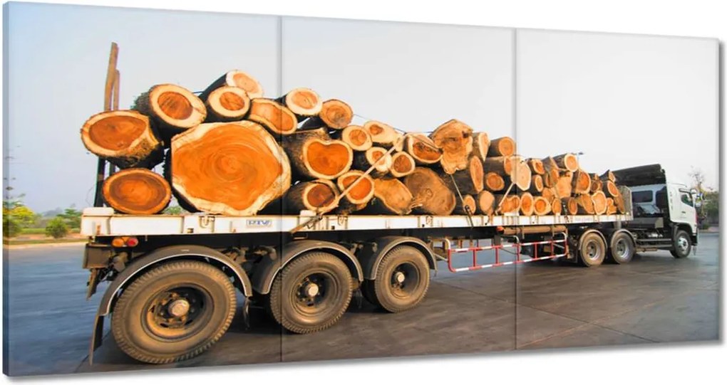 Vászonkép 180x90 Tűzifa Tűzifawka