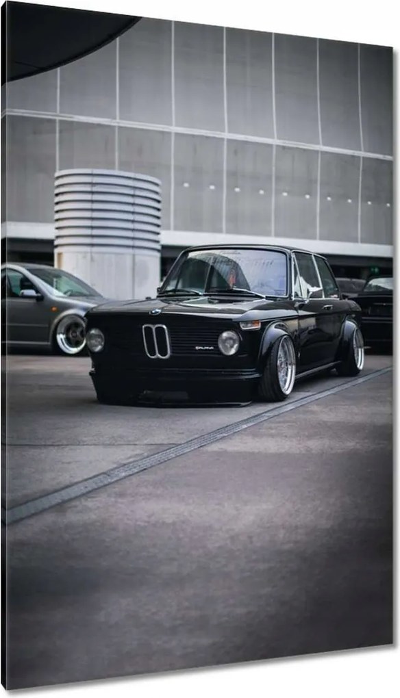 Festmények 80x120 Bmw Alpina Cápa Shark