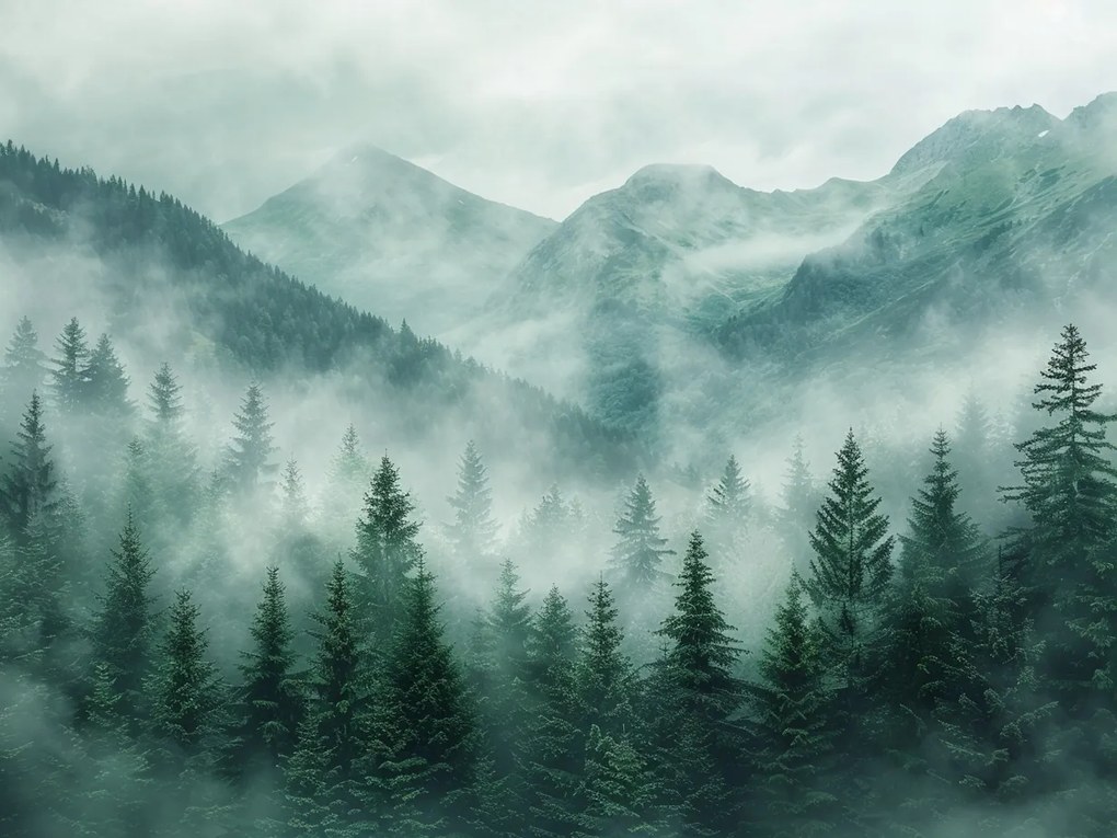 Vászonkép Canvas Hegyi Erdő Köd Nyugalom Rejtély Tájkép 80x60